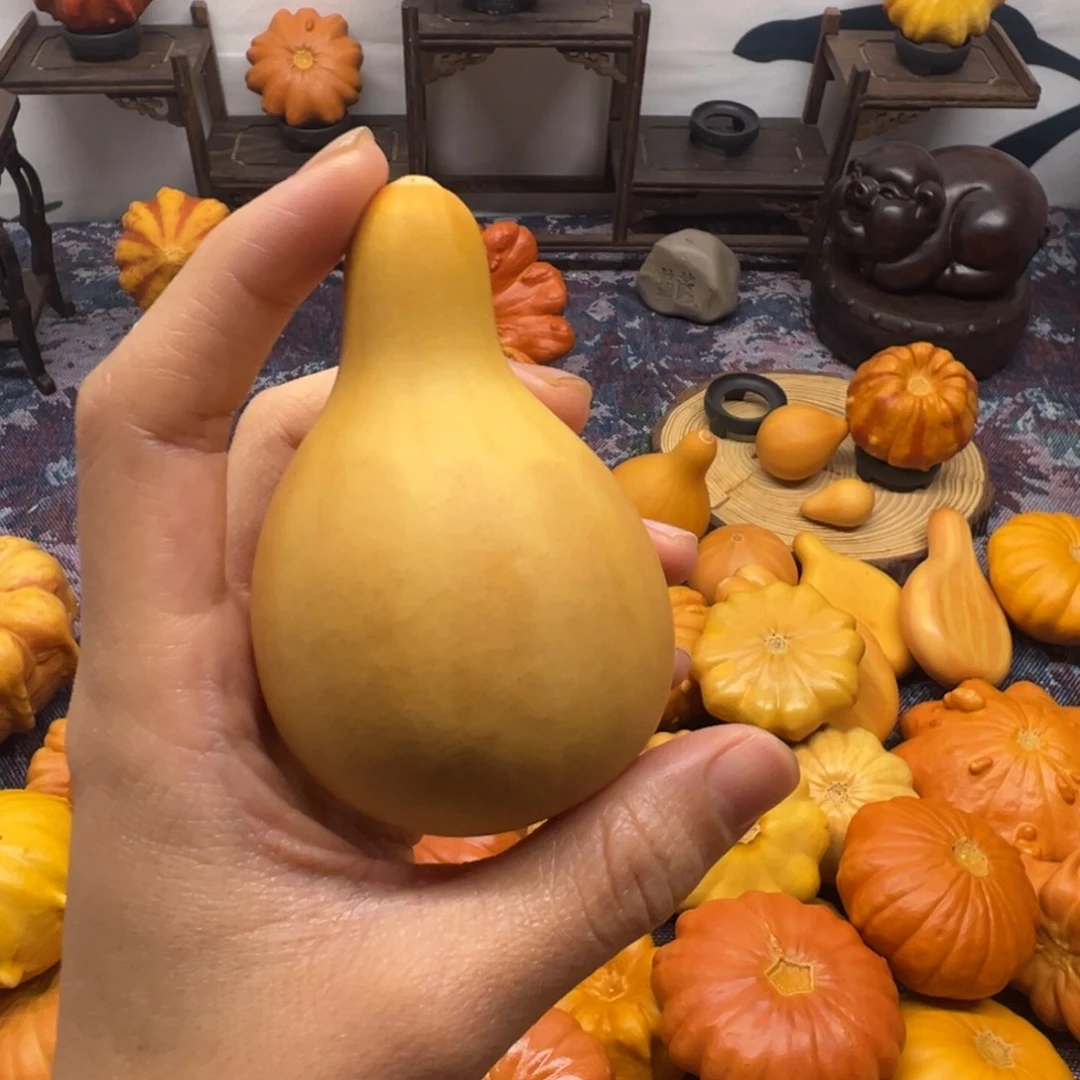 墨西哥葫芦小美人