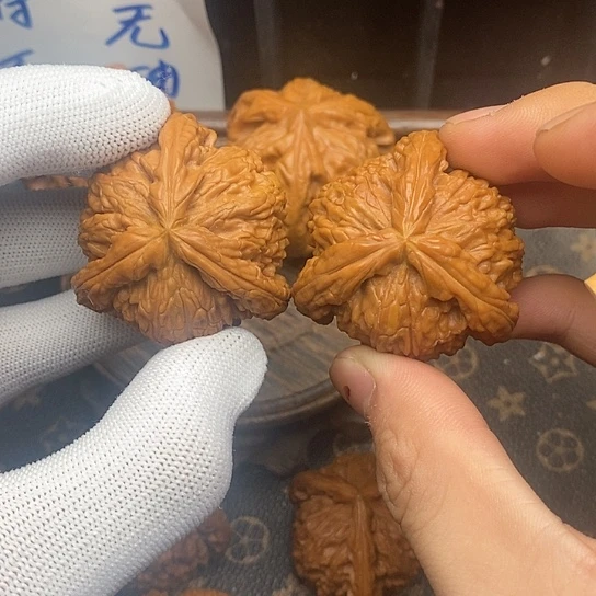 S****味白狮1111111111111111