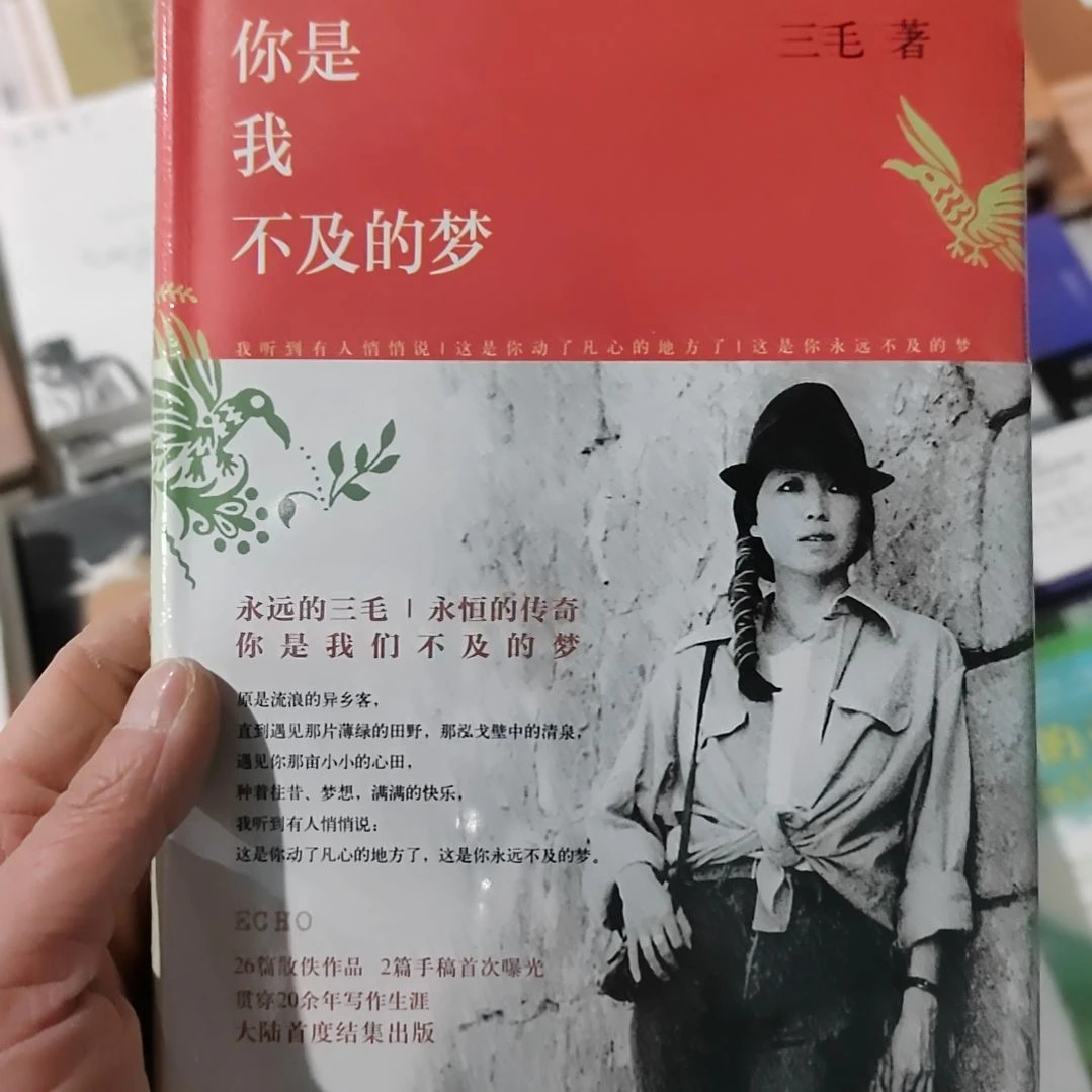 三毛你是我不及的梦