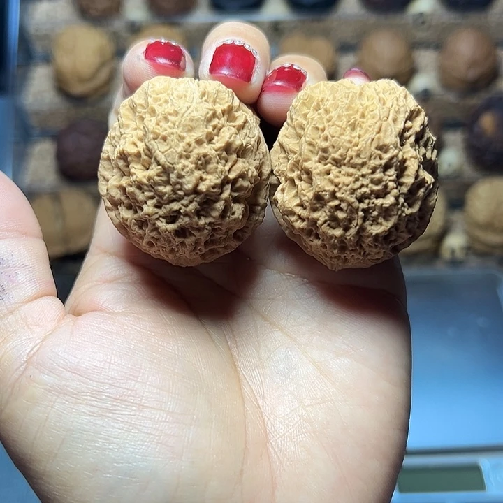 文玩核桃把件20号蚂蚁窝42尺