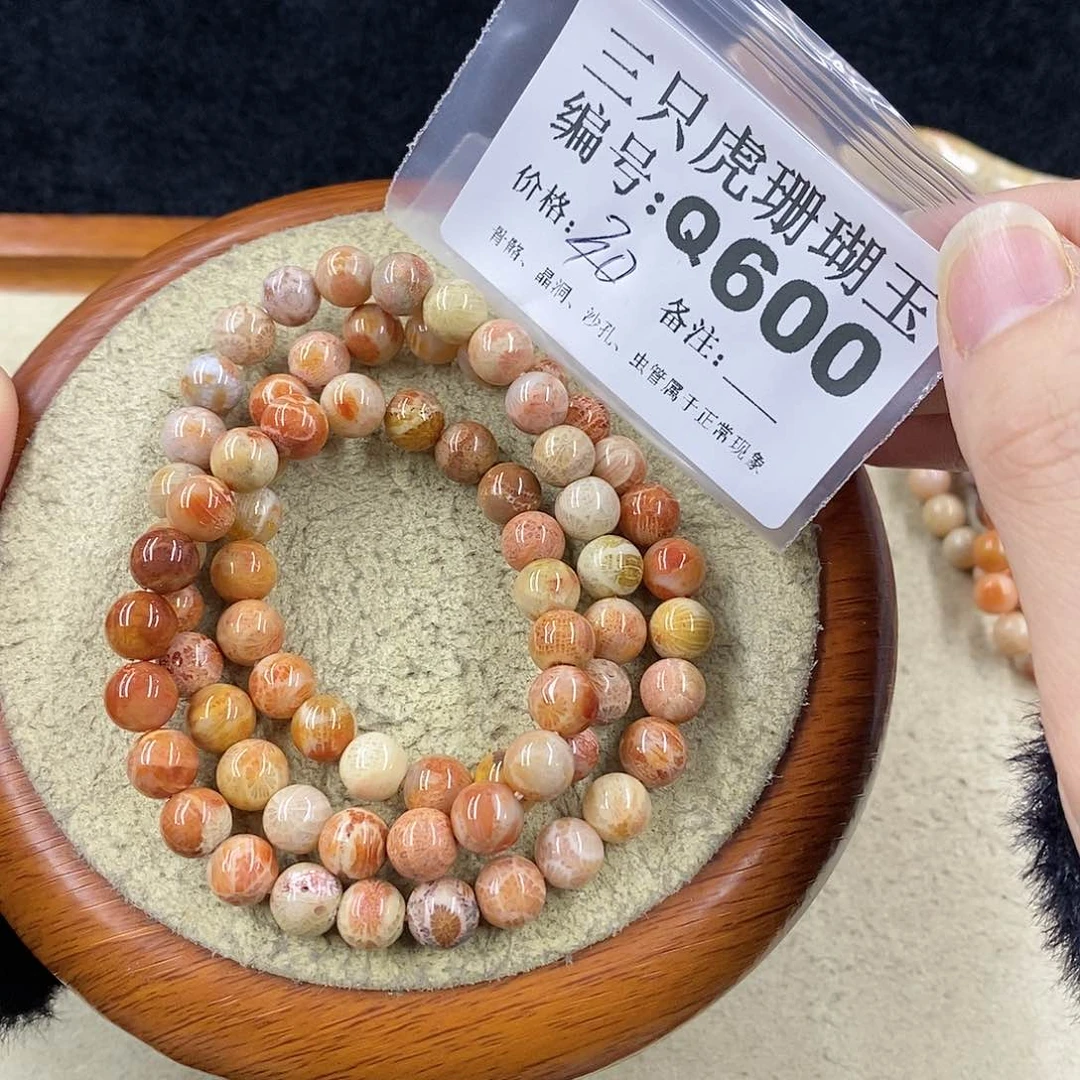 硅化珊瑚（珊瑚玉）1未镶嵌m**g