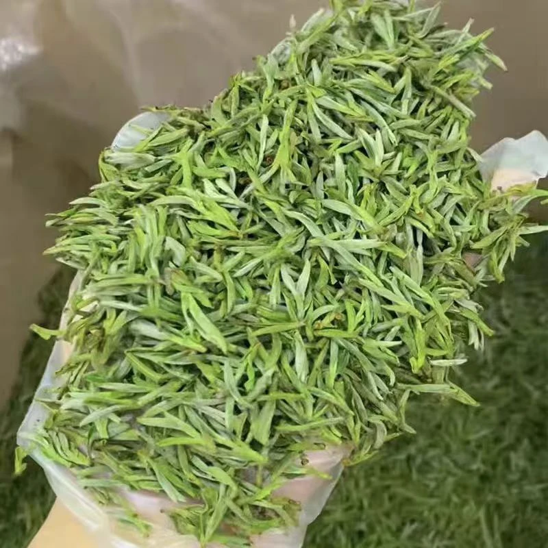 新茶明前新茶明前春茶高山茶叶原产地黄芽黄茶散装250g包邮