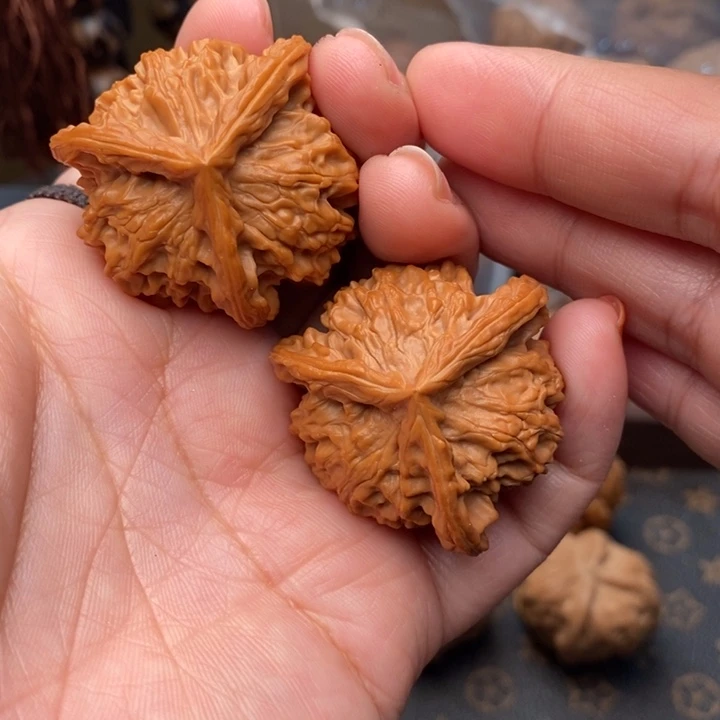 核桃盘山三棱38尺核桃