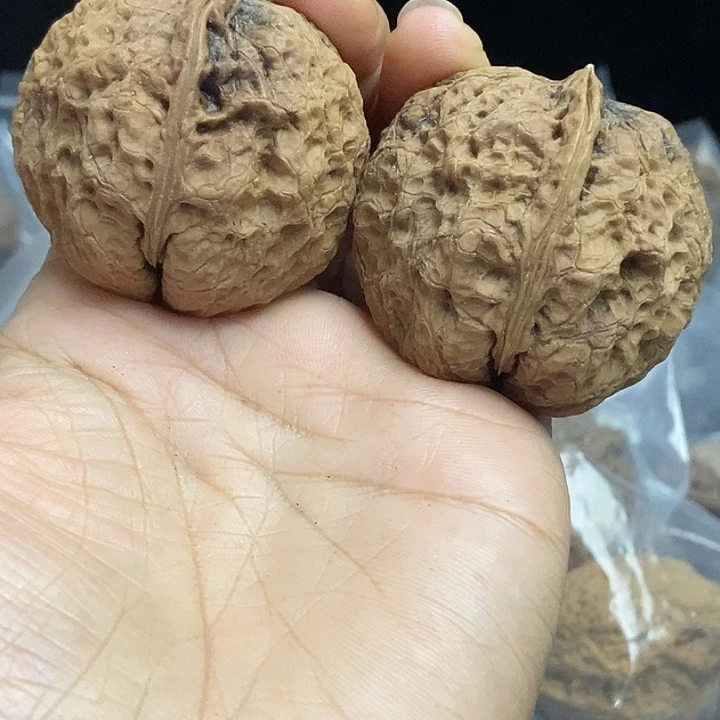 木质类云南铁核桃+66