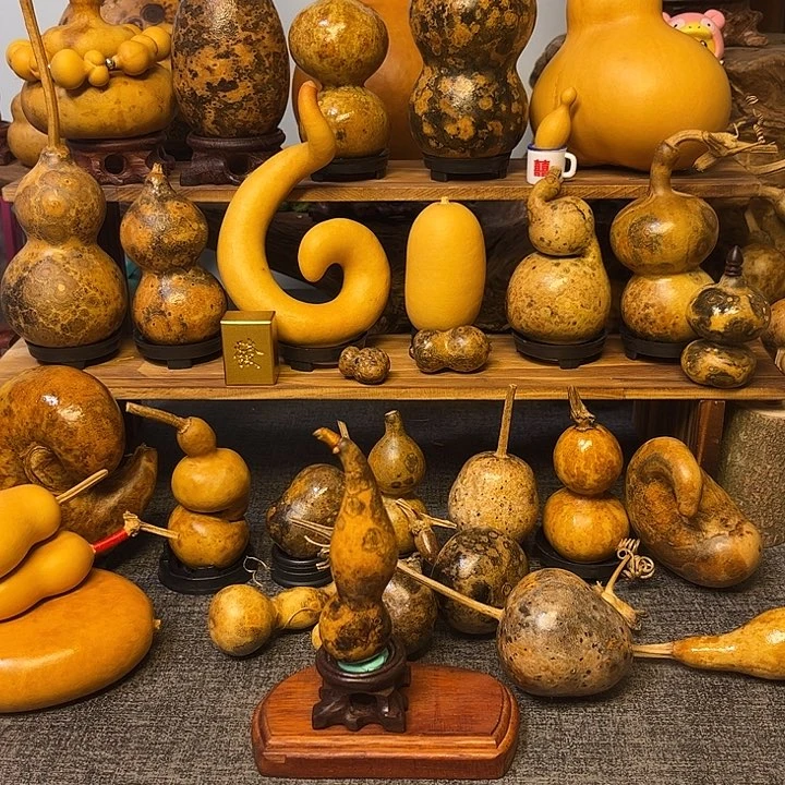 華*花皮葫芦好看真好看