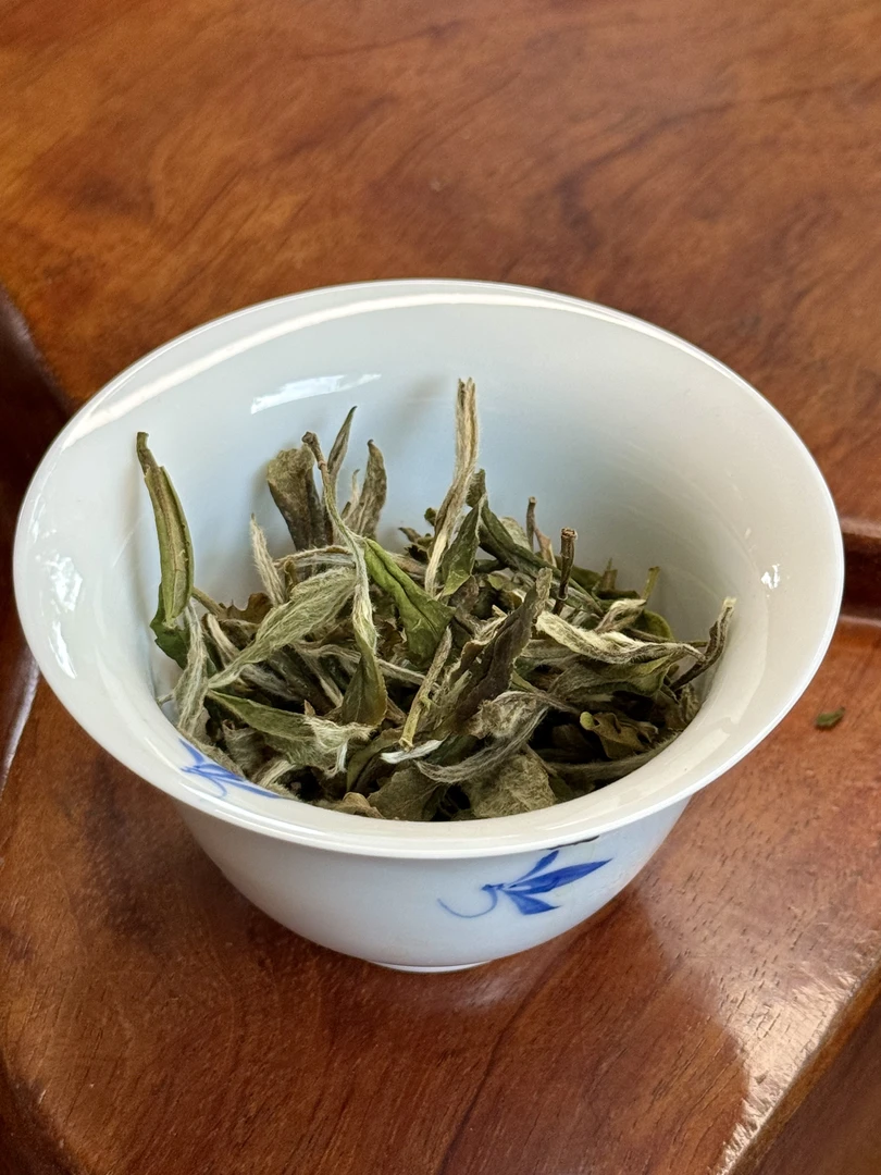 2022年老枞白牡丹50g茶气足