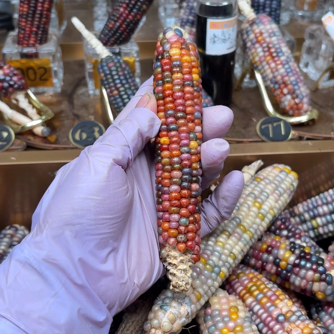 柏香籽/百香籽吊坠安*