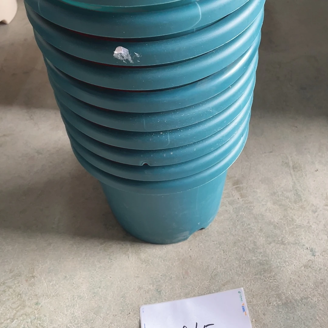 编号是865号的865号的