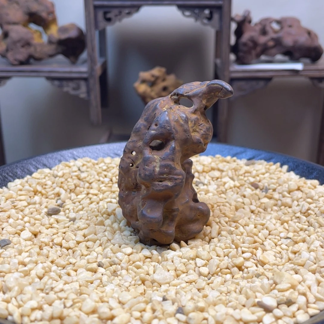 《歹笋》苏州太湖水石一方