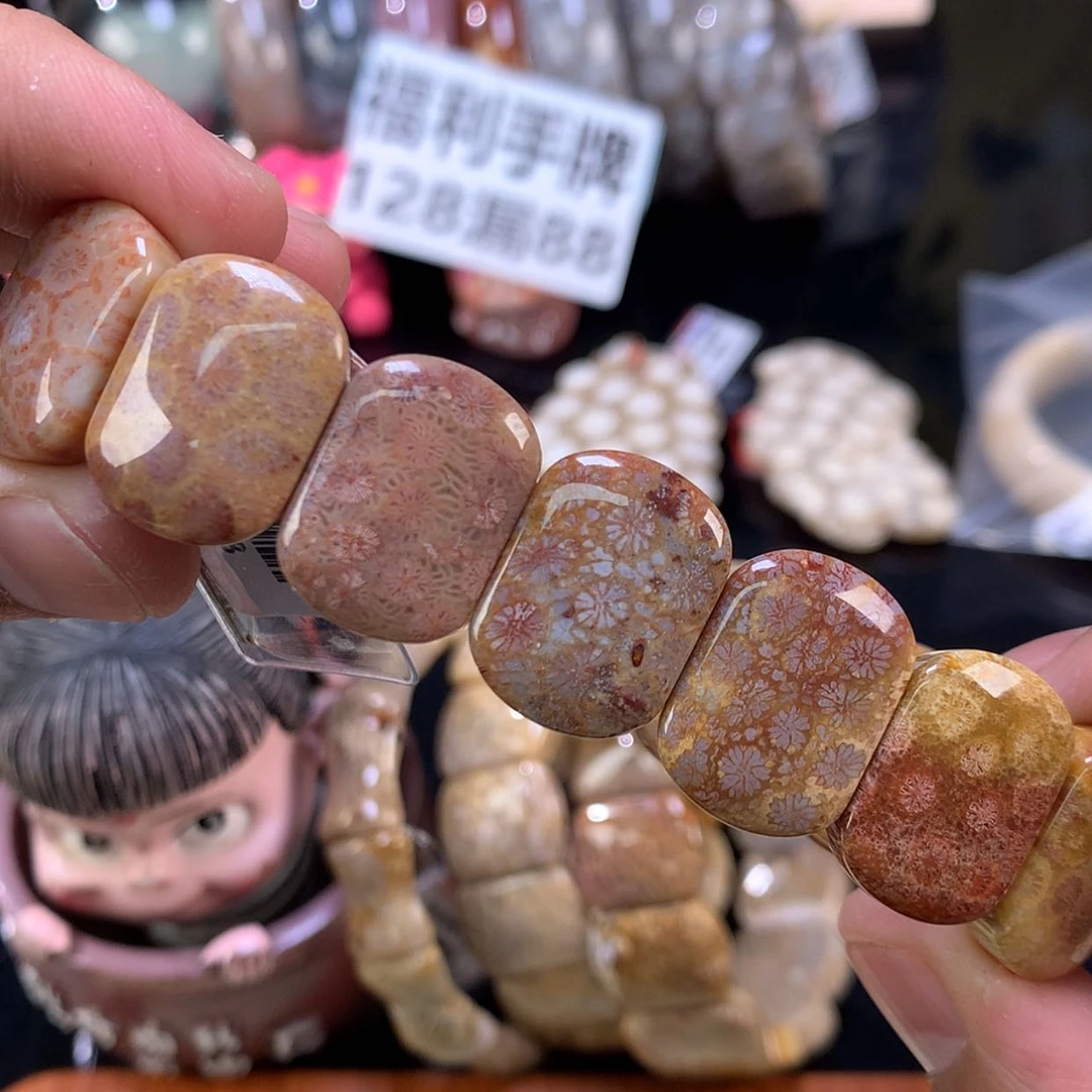 【闪购商品】颈饰未镶嵌硅化珊瑚（珊瑚玉）68号紫红彩