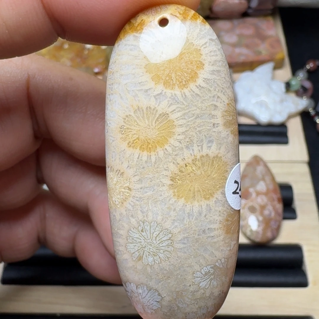 未镶嵌纯天然色有机玉石保真色硅化玉