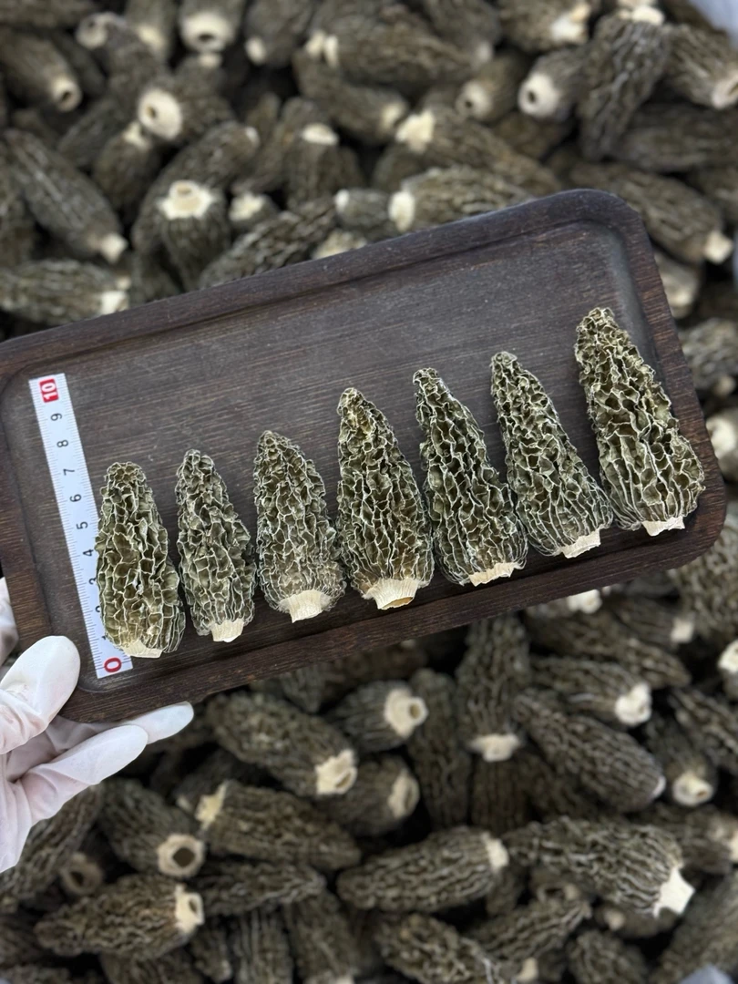 【2025新货】头茬羊肚菌全剪脚6-8 七妹羊肚菌干货精选肉质饱满干货