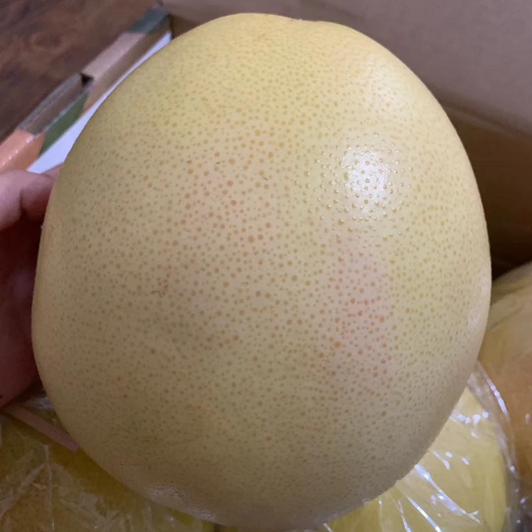 斯美乐红心柚子（整果）