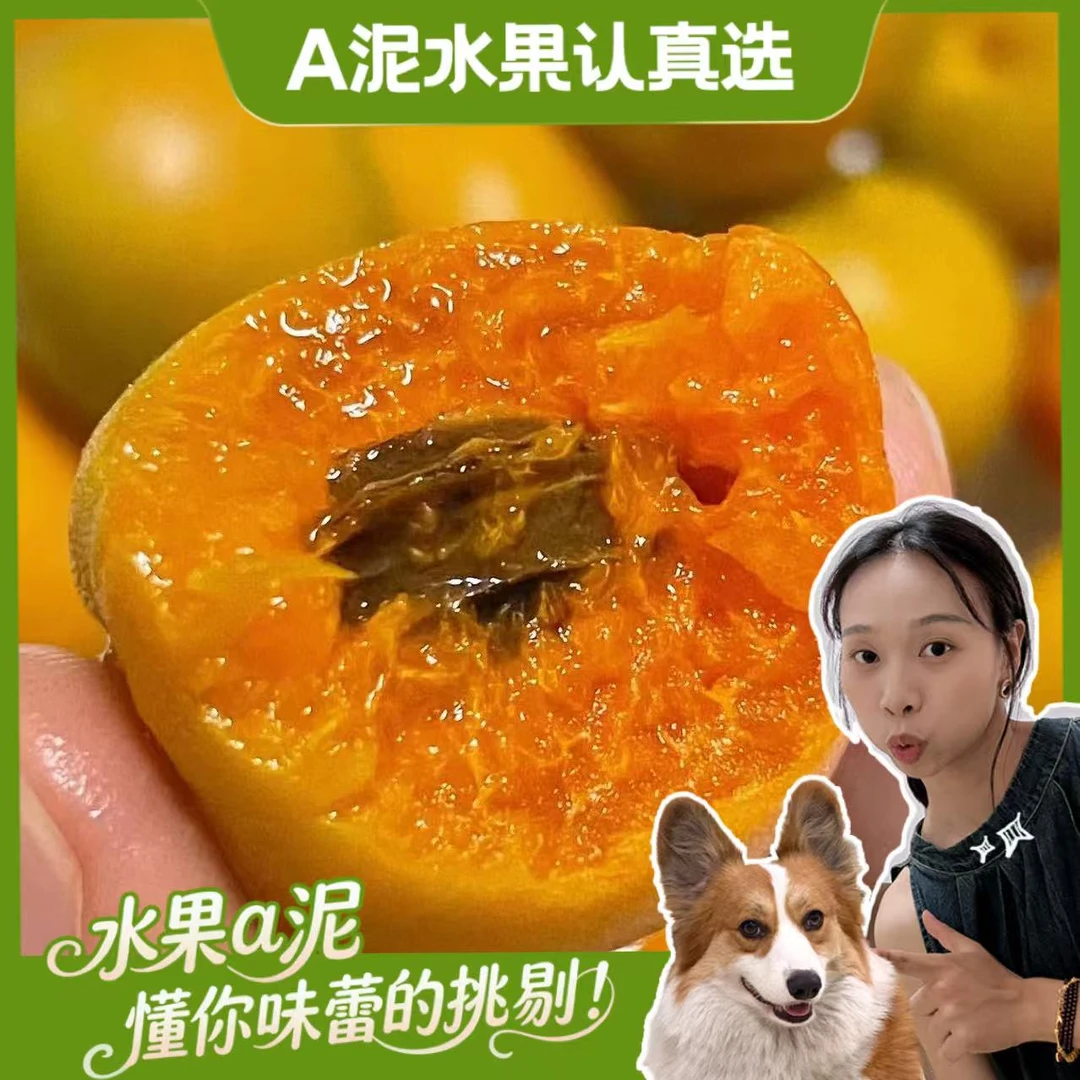 【次日达】新疆吊干杏黄杏甜杏3斤 新鲜孕妇水果【坏果包赔+顺丰包邮】杏同城配送杏子同城送新疆维吾尔自治区