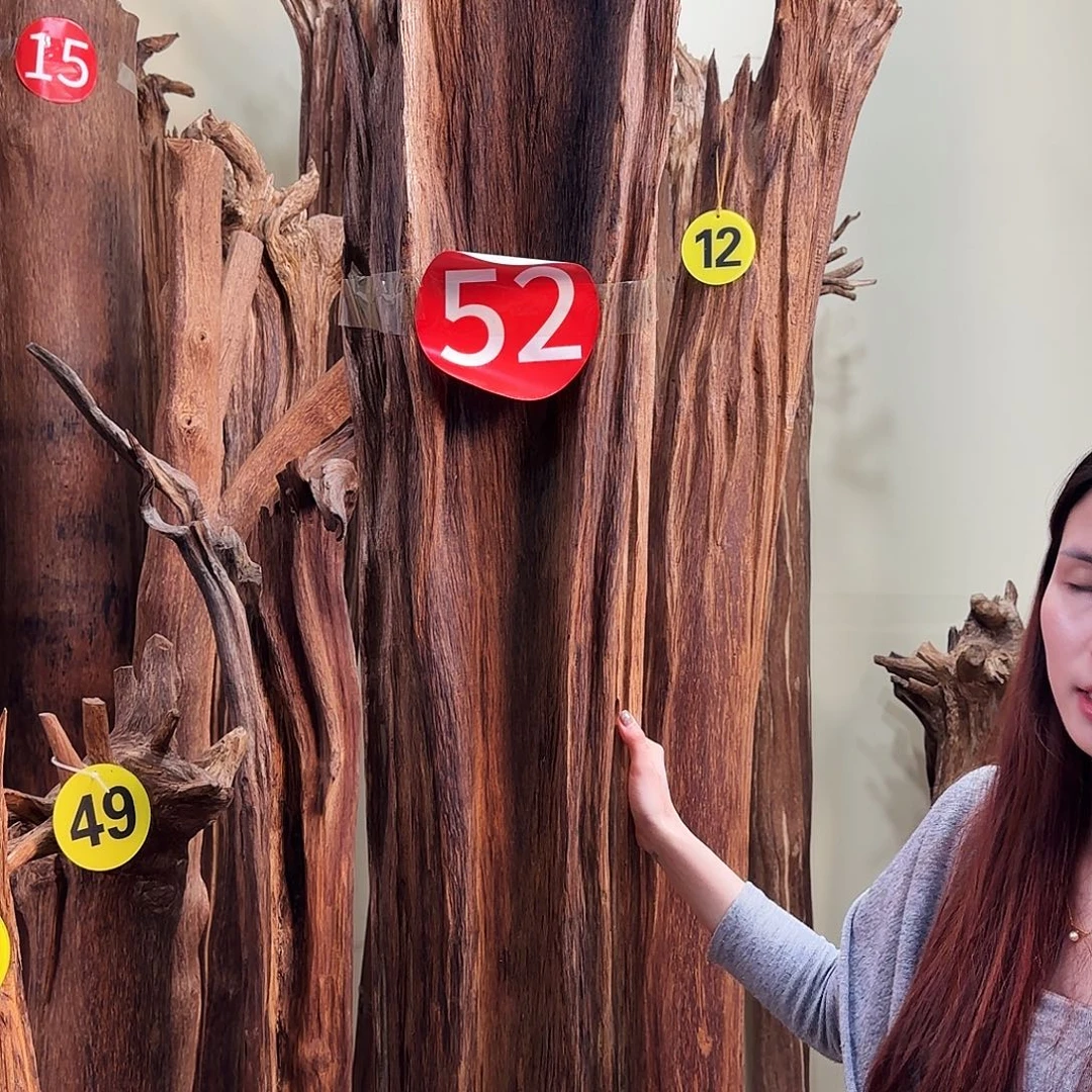 今***）沉香碎屑沉香天然沉香原材料香料熏料