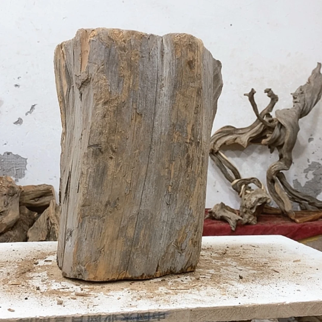 【闪购商品】柏木锦*阁我们都是好孩子