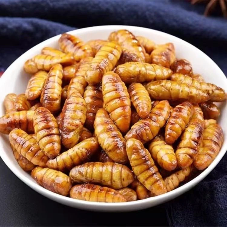 蚕蛹500g/袋鲜活新鲜金丝蛹山东特产蛹子生茧蝉蛹冷冻