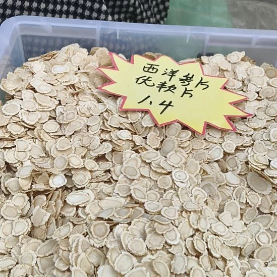 鹿角鹿角鹿角鹿角鹿角鹿角