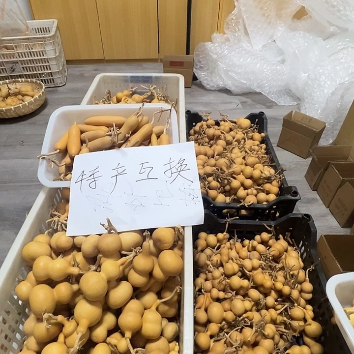 大***3文玩小葫芦一物一拍