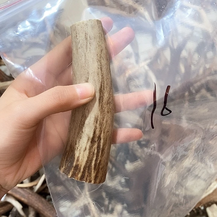 鹿角鹿角鹿角鹿角鹿角