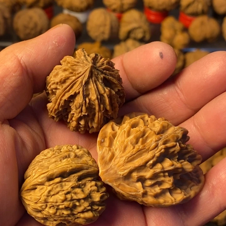 白***李大叶紫檀（黑酸枝木类）