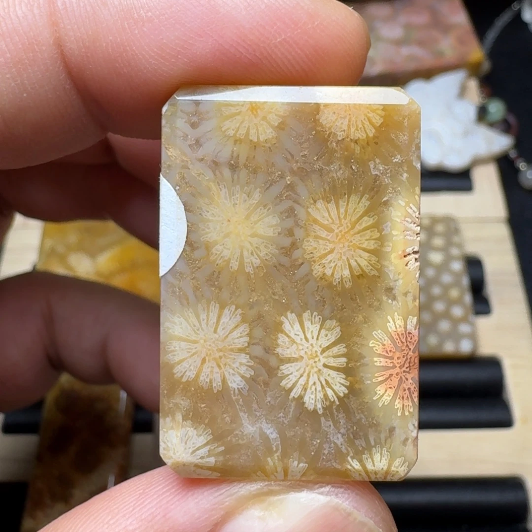 未镶嵌纯天然色有机玉石保真色硅化玉