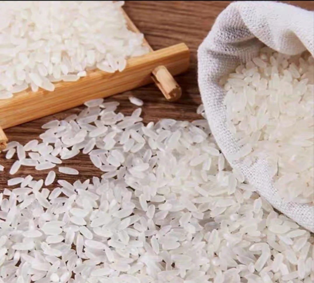 2024年当季东北新米稻花香