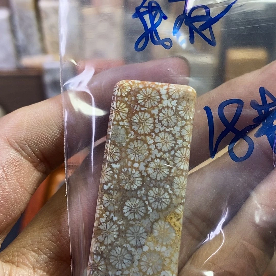 硅化珊瑚（珊瑚玉）吊坠未镶嵌我***袄