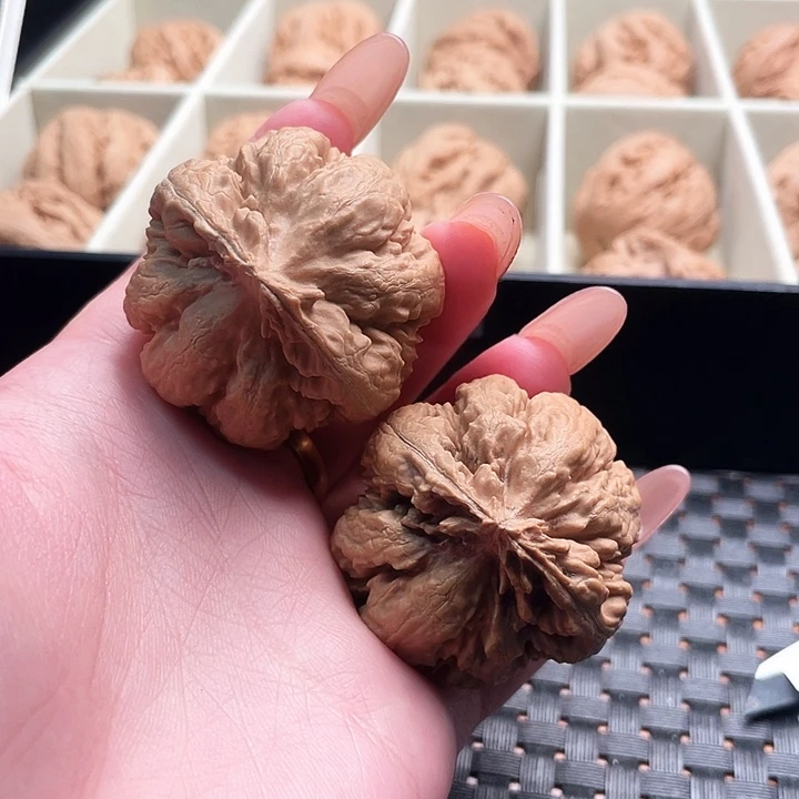 三***哥霸王龙核桃尺寸41+