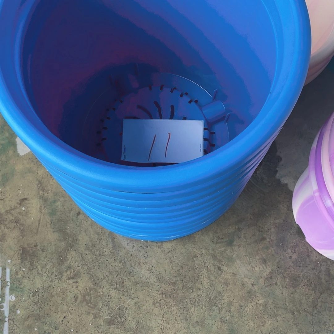 编号是11号的11号的