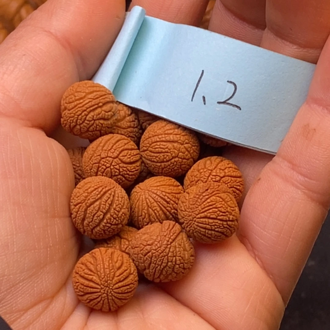 秦岭龙纹桃核20颗