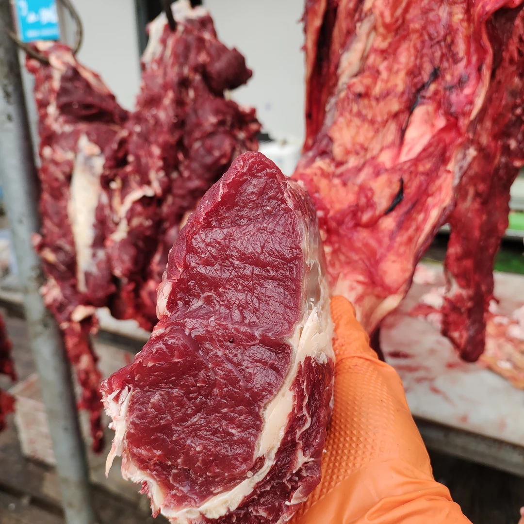 原切牛排现杀本地大黄牛
