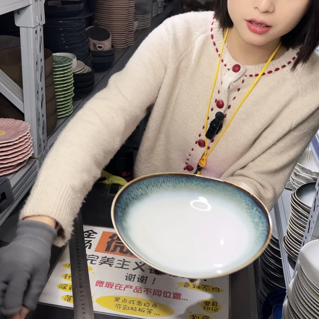 瓷片0248。           4个