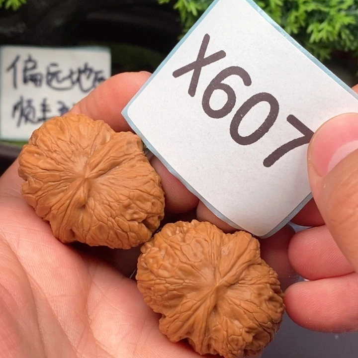 文玩核桃把件宝子3846607