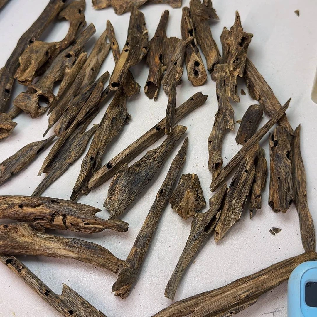 可***哥沉香碎屑沉香黑棋虫漏237.9克