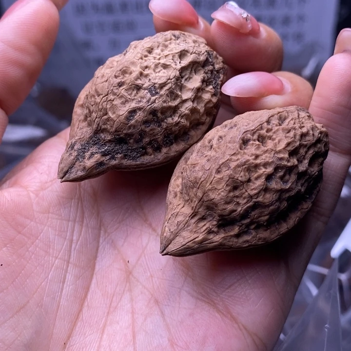 核桃云南野生铁核桃2号30mm
