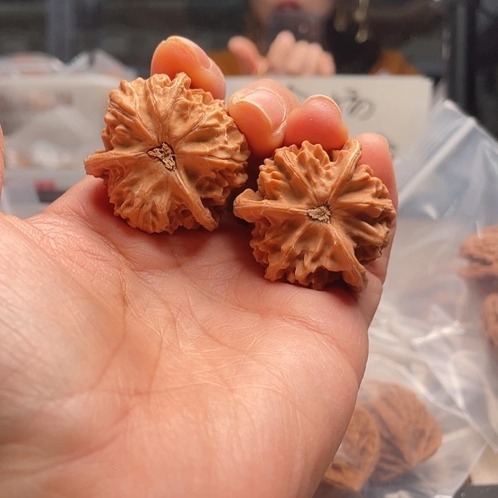 文玩核桃手串三棱草和五棱草都75.8