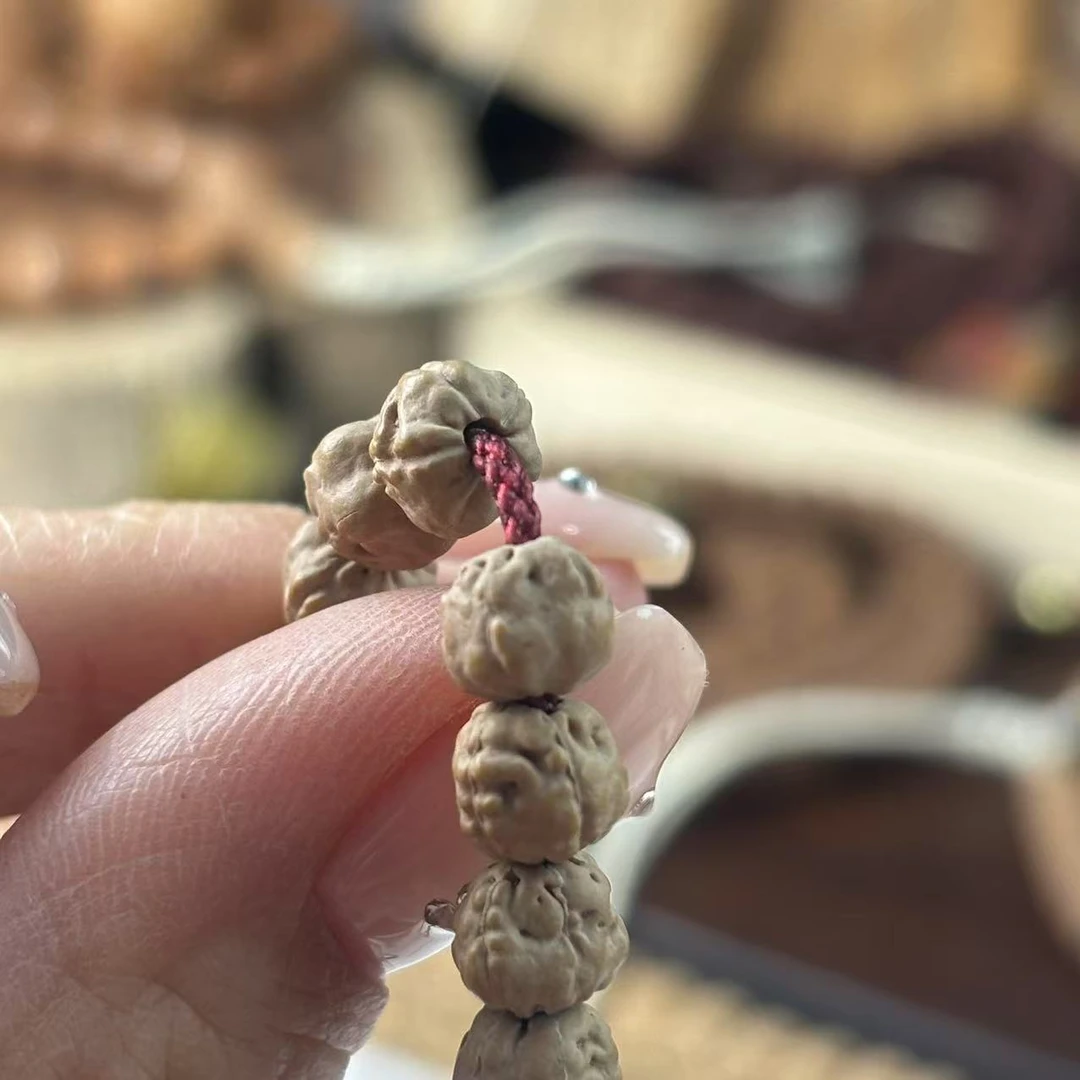 原桩佛手108金刚菩提+礼盒