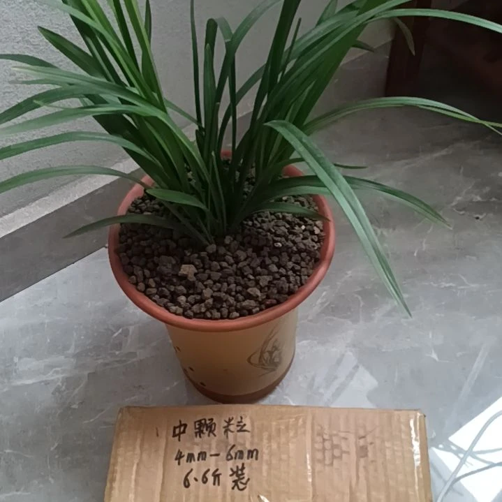 鱼***兰菌颗粒中颗粒6.6斤