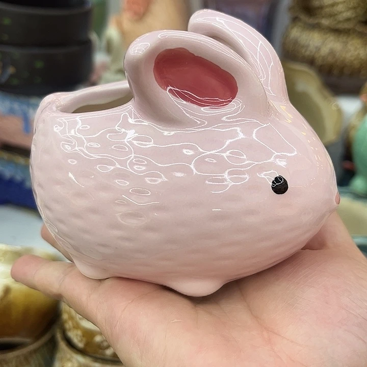 多肉植物陶瓷花盆9.99包邮