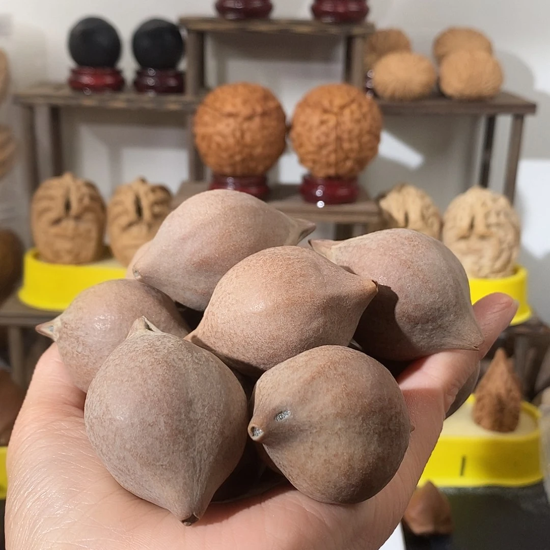 吊坠文玩核桃樊****樊橄榄核散不退不换不接受中差评 14