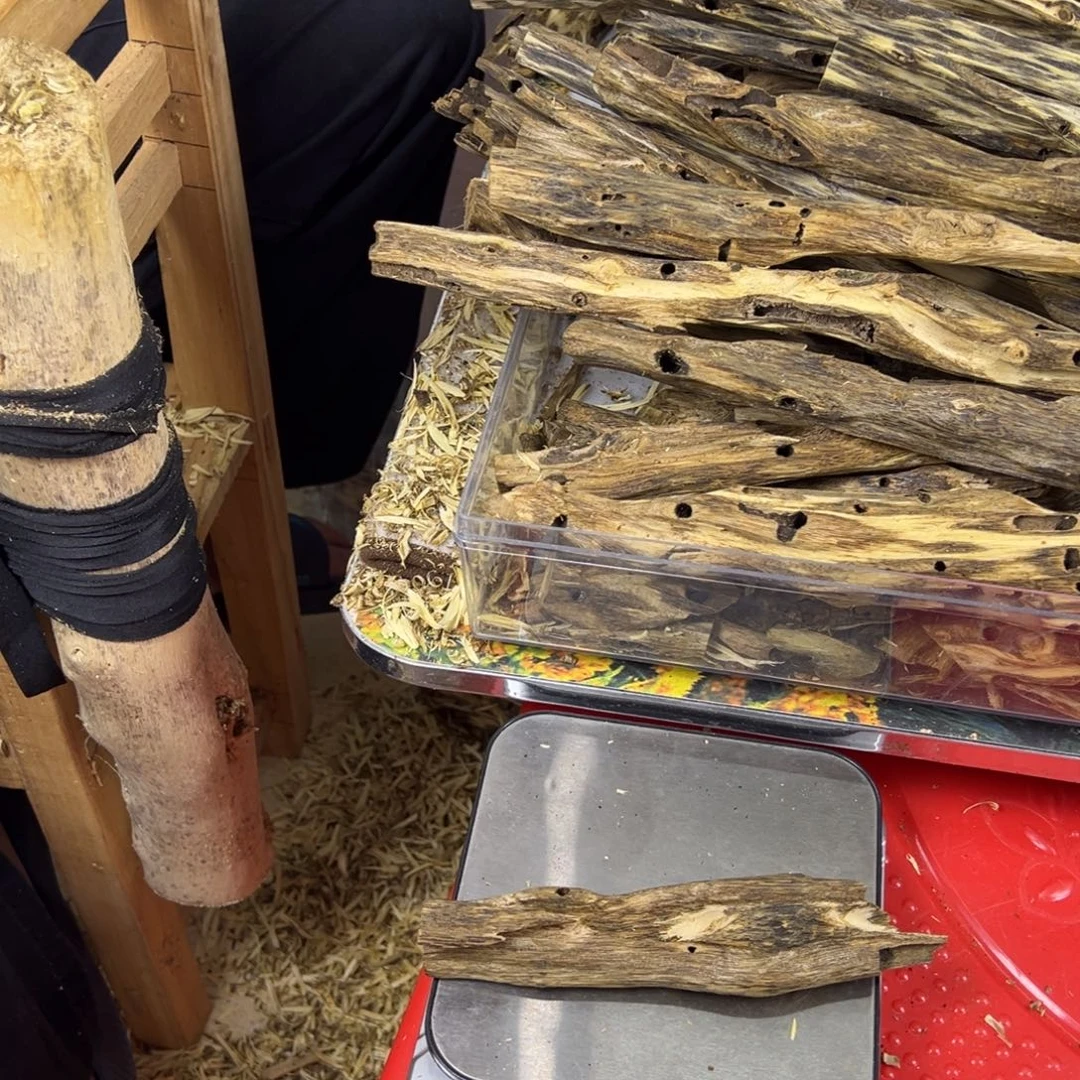 线香奇楠虫漏香23克