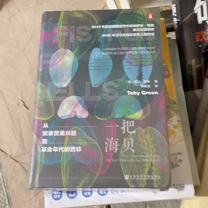 一把海贝微瑕微瑕