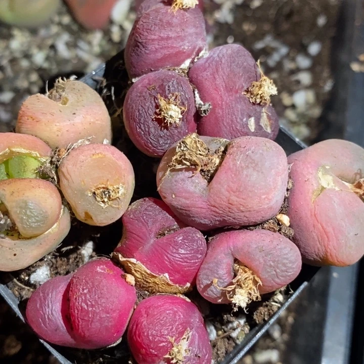 27210有伤一组一组