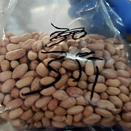 瓷片盘子碗茶壶啥都有