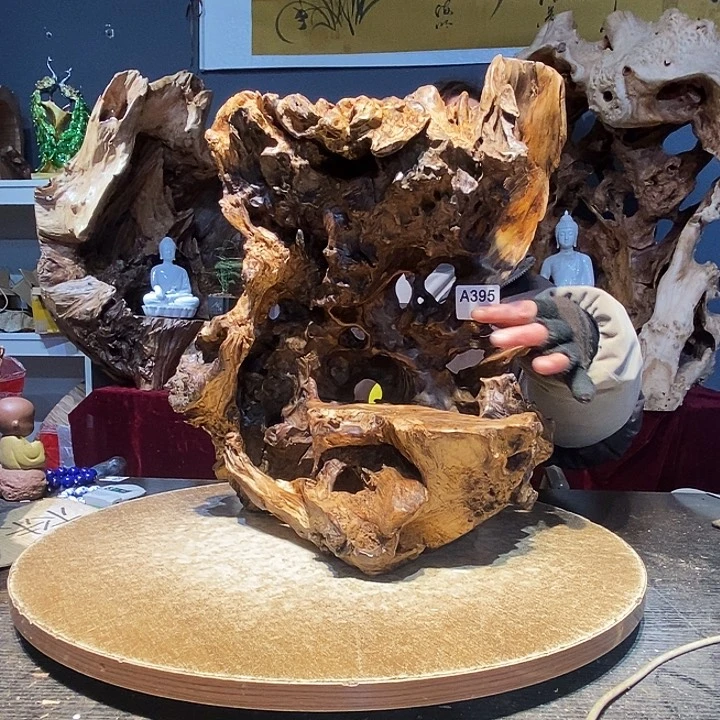 上*木395株木随行的小根艺的