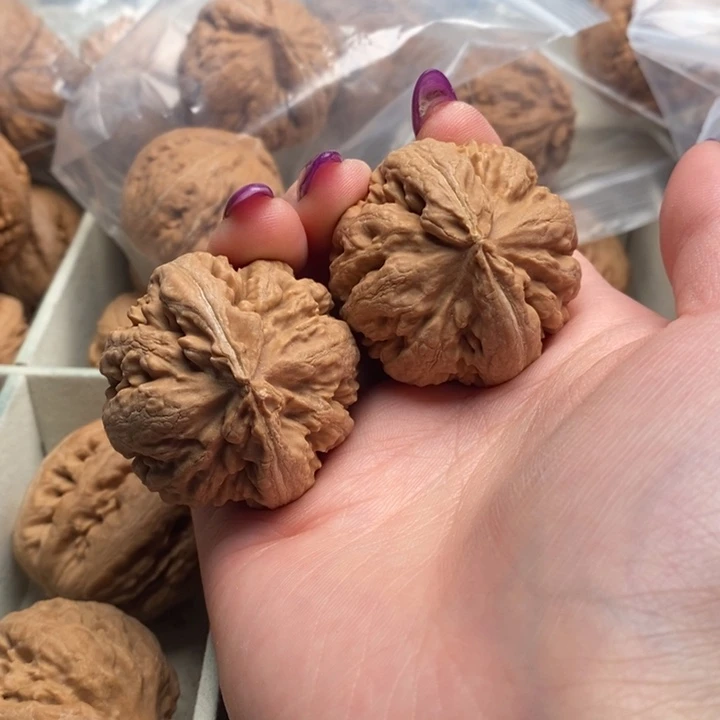 马***超手串文玩核桃霸王龙