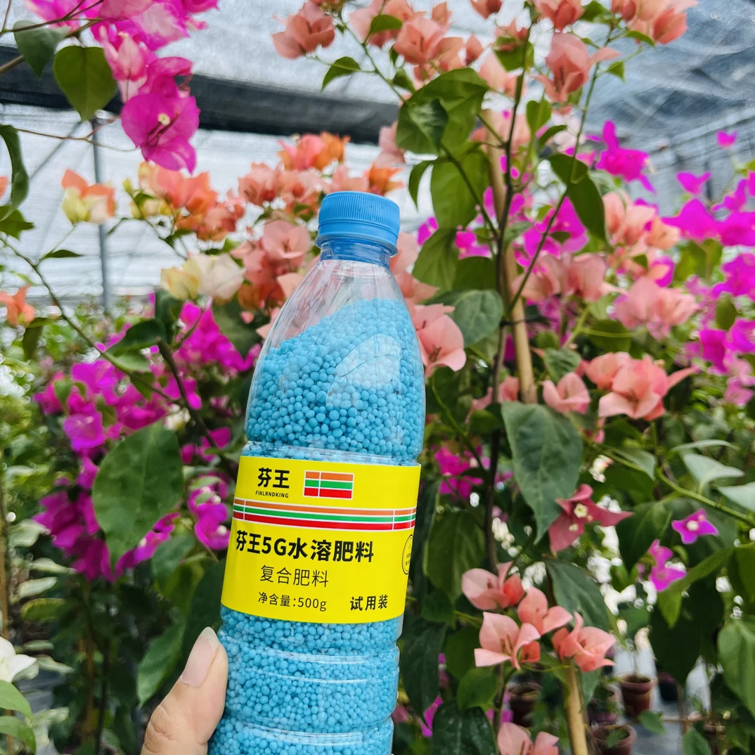 自家用三角梅（颗粒复合肥）500克