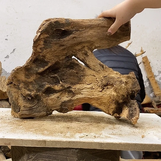 圆***梦柏木我们都是好孩子