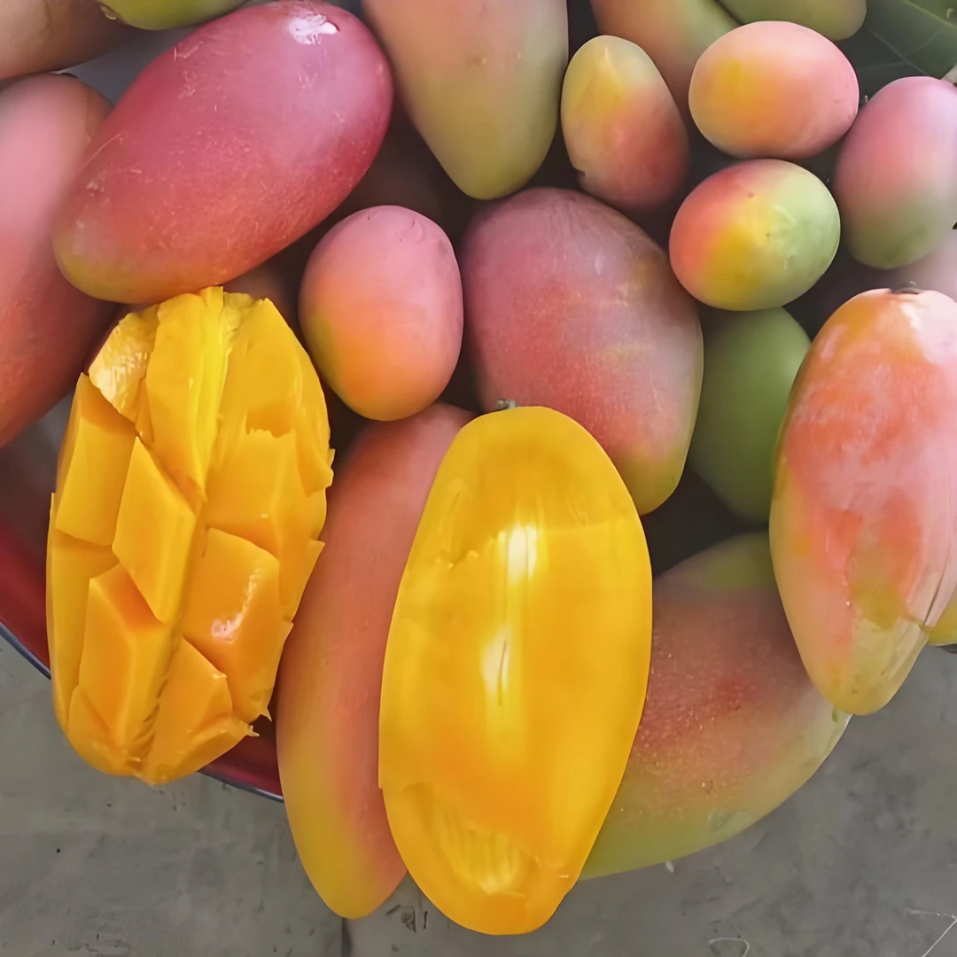 四川攀枝花贵妃芒果5/9斤新鲜芒果四川省